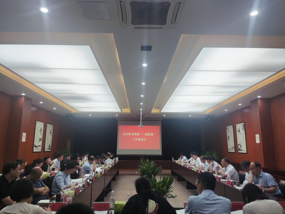 2024年7月17日，市國資委系統(tǒng)在公司開展“三組聯(lián)建”現(xiàn)場觀摩（推進(jìn)會）_副本